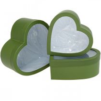 Caja de regalo de flores Caja de flores de corazón verde 24/21,5/19 cm Juego de 3