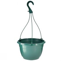 Cesta colgante maceta verde maceta colgante Ø25cm H50cm