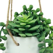 Artículo Cestas colgantes suculentas artificiales verdes surtidas 18cm 3ud