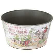 Artículo Cuenco de flores vintage de plástico Fresh Garden colorido Ø21cm 2 piezas