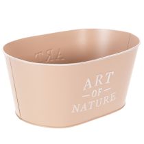 Artículo Maceta ovalada de zinc, rosa antigua, 27×18cm, H12.5cm