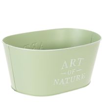 Artículo Maceta ovalada de zinc verde menta, 27 × 18 cm, 12,5 cm de alto.