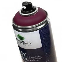 OASIS® Easy Color Spray, pintura en spray Erika 400ml