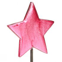 Artículo Palitos de flores Estrellas Decoración Baya Ø7cm – 2.ª Opción – 24 uds