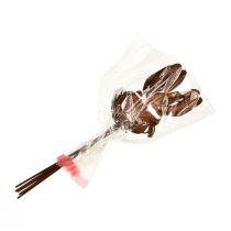 Artículo Tapón de flores decoración conejo óxido 7,5cm×11,5cm 6 piezas