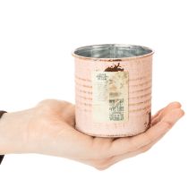 Artículo Maceta decorativa, diseño salmón, bote de metal para hierbas, Ø8cm, H7.5cm