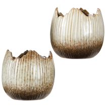 Artículo Maceta Cerámica Huevo Roto Crema Marrón Ø11,5cm 2 uds