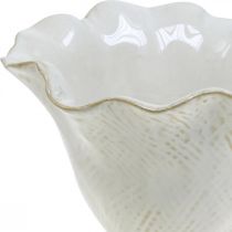 Macetero macetero de cerámica macetero macetero blanco Ø15cm