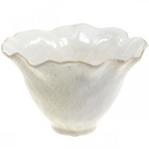 Macetero macetero de cerámica macetero macetero blanco Ø19cm