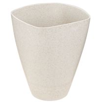 Artículo Macetero para orquídeas macetero plástico beige moteado 13,5x13cm H16,5cm 4ud