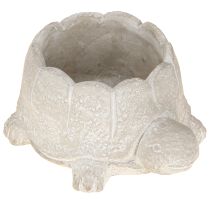 Artículo Maceta tortuga hormigón decoración gris blanco 15,5cm 2uds