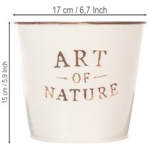 Artículo Maceta de zinc Art of Nature color crema, Ø17,5 cm, H15 cm.