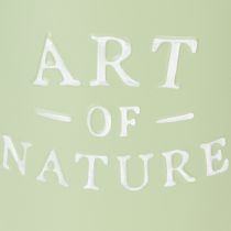 Artículo Maceta de zinc Art of Nature verde menta Ø17,5cm H15cm