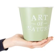 Artículo Maceta de zinc Art of Nature verde menta Ø17,5cm H15cm