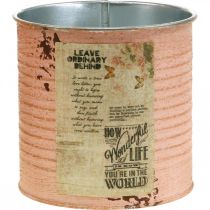 Artículo Macetero decorativo de hojalata salmón metal decoración de verano Ø11cm H10.5cm
