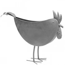 Artículo Maceta pollo metal pájaro zinc metal decoración 51×16×37cm
