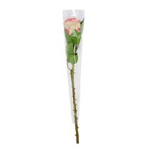 Artículo Bolsa de flores sin imprimir L41cm W3-12cm 50 uds