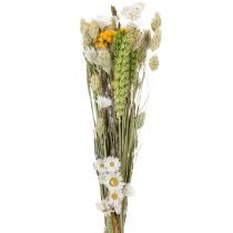 Artículo Ramo de flores secas, elegante ramo de flores secas para salón, 50 cm