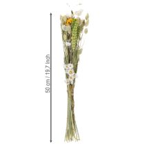 Artículo Ramo de flores secas, elegante ramo de flores secas para salón, 50 cm