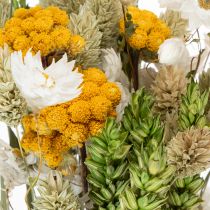 Artículo Ramo de flores secas, elegante ramo de flores secas para salón, 50 cm