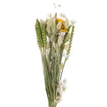 Artículo Ramo de flores secas, elegante ramo de flores secas para salón, 50 cm