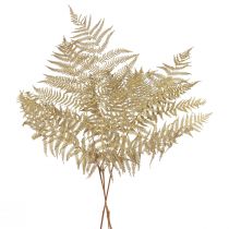 Artículo Flores secas helecho decorativo hojas de helecho secas 70cm 10uds