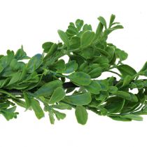 Guirnalda de boj verde 180cm