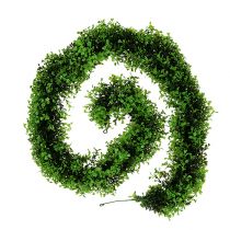 Artículo Guirnalda de boj verde L170cm
