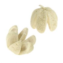 Artículo Deco flor blanqueada 12 piezas