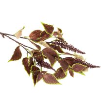 Artículo Coleo artificial con hojas rojas, planta artificial, 20 cm