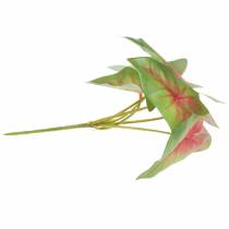 Artículo ¡Planta artificial de caladio artificial de seis hojas verde/rosa como real!