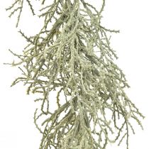 Artículo Guirnalda Calocephalus Plantas Artificiales Gris Plata 122cm