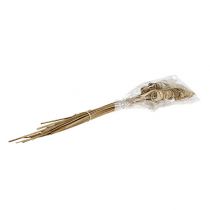 Artículo Cono de caña natural 25 uds