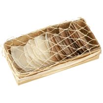 Artículo Discos de conchas de capiz para deco Color oro y natural 60pzs