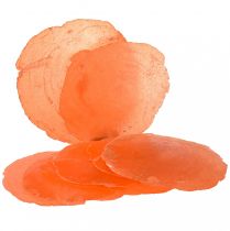 Artículo Conchas de capiz Rodajas de capiz rodajas de nácar naranja 7,5–9,5cm 300g