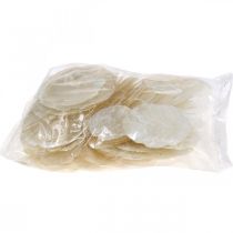 Artículo Marítimo, conchas Capiz 5-10 cm, nácar, artículo natural 1 kg