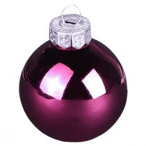 Artículo Bolas para árboles de Navidad bolas de cristal para árboles Berry Mix Ø5cm 24 piezas Berry rosa beige crema brillante