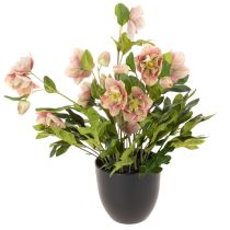 Artículo Planta artificial de heléboro en maceta, rosa de Navidad, para decoración del hogar, 50 cm.