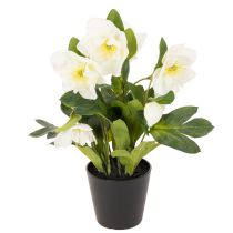 Artículo Rosa artificial de Navidad, planta en maceta, decoración de mesa, 34 cm.