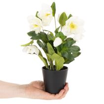 Artículo Rosa artificial de Navidad, planta en maceta, decoración de mesa, 34 cm.