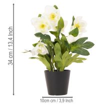 Artículo Rosa artificial de Navidad, planta en maceta, decoración de mesa, 34 cm.