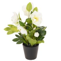 Artículo Rosa artificial de Navidad, planta en maceta, decoración de mesa, 34 cm.