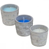 Vela de citronela en bote vela perfumada limón Ø7.5cm H6.5cm
