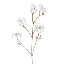 Artículo Clematis rama blanca flocada 62cm 3pcs