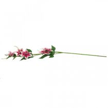 Artículo Rama de clemátide con 5 flores, flor artificial, rama decorativa rosa, blanco L84cm