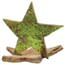 Decoración dispersa Estrellas navideñas verde coco Ø5cm 50ud