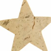 Artículo Coconut star nature 5cm 50pcs decoración navideña decoración de mesa