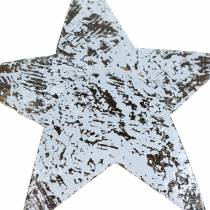 Artículo Estrella de coco blanqueada 10cm 20uds