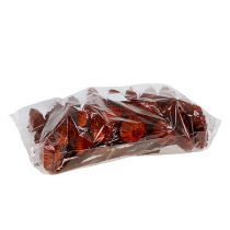 Artículo Roseta compacta naranja 40uds