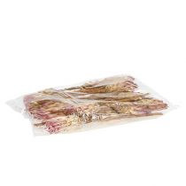 Artículo Compacta Rosa 25uds